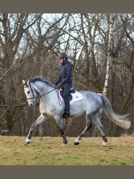 Stierna Storm regen rijbroek (4) Stierna Storm regen rijbroek