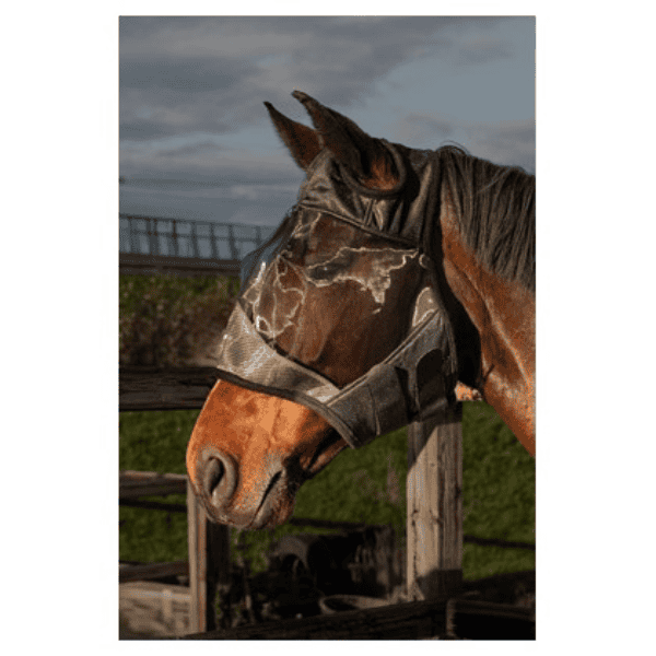 Vliegenmasker Flyshield zonder oren Vliegenmasker Flyshield zonder oren