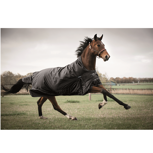 Catago Justin 2.0 Catago Justin 2.0