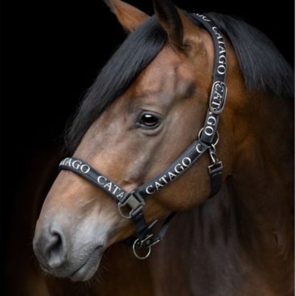 Catago Nisha halster (2) Catago Nisha halster