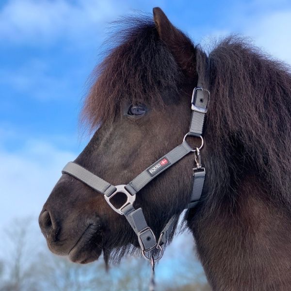 Stal & Weide Stal & Weide