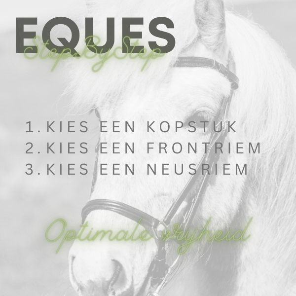 Eques StepByStep hoofdstellen Eques StepByStep hoofdstellen