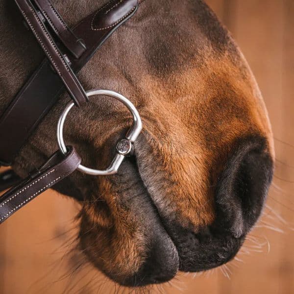 Fager Kevin RVS dubbel gebroken bustrens Fager Kevin RVS dubbel gebroken bustrens