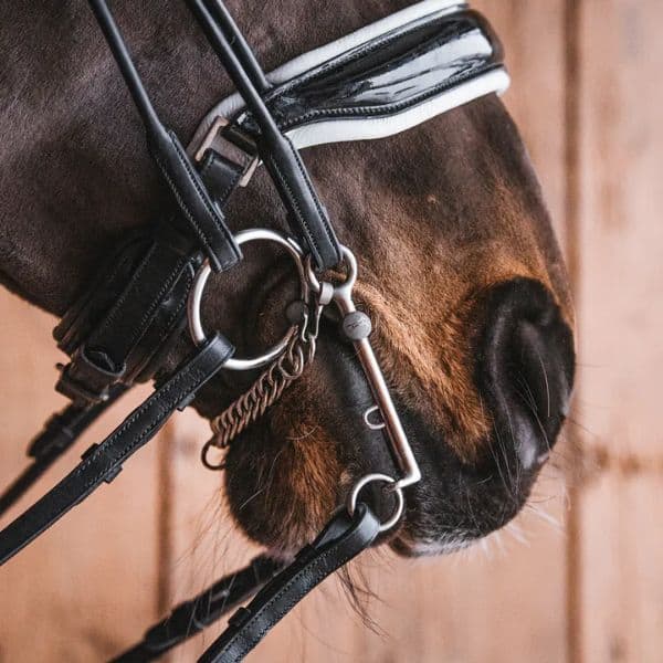 Fager Sofia Titanium dressuurstang (2) Fager Sofia Titanium dressuurstang