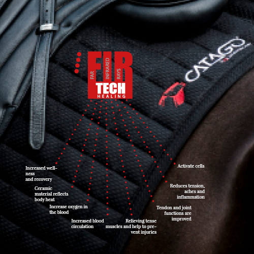 Wat is FirTech Wat is FirTech