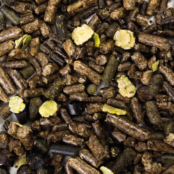 Florian Multibeet Xtra (3) Florian Multibeet Xtra