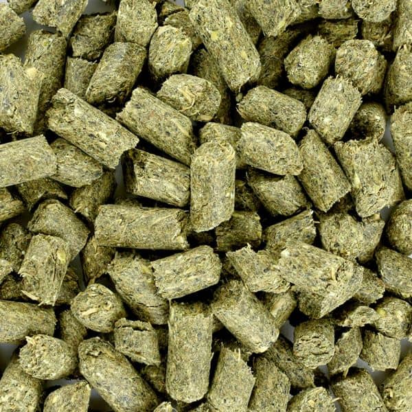 Florian Oerbrok Basic Impact (3) Florian Oerbrok Basic Impact