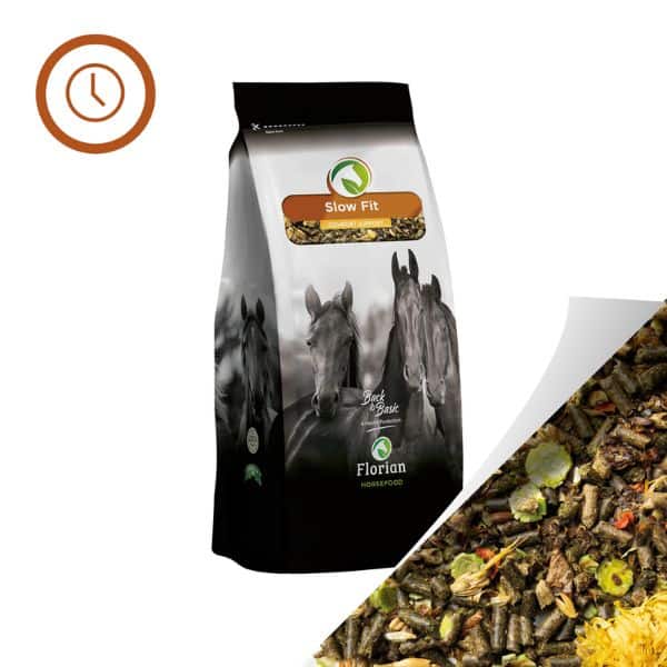 Florian Slow Fit Florian Slow Fit