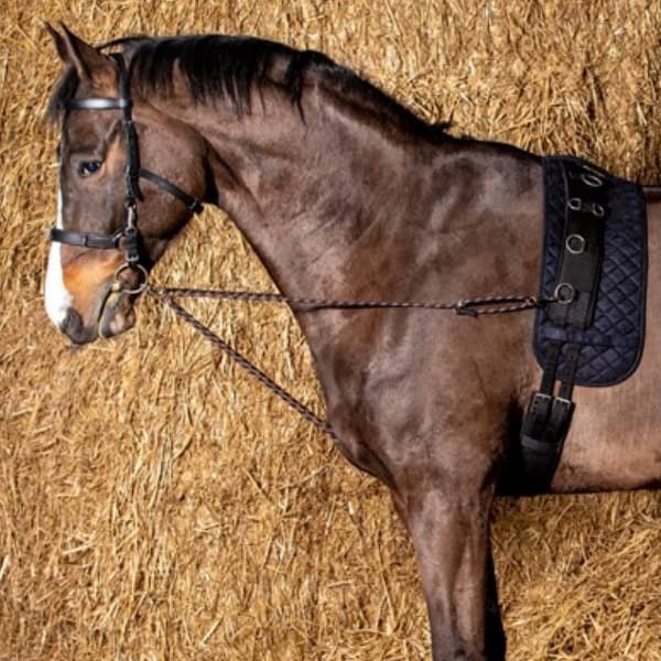 Harry's Horse Longeerkoord V-Line Harry's Horse Longeerkoord V-Line