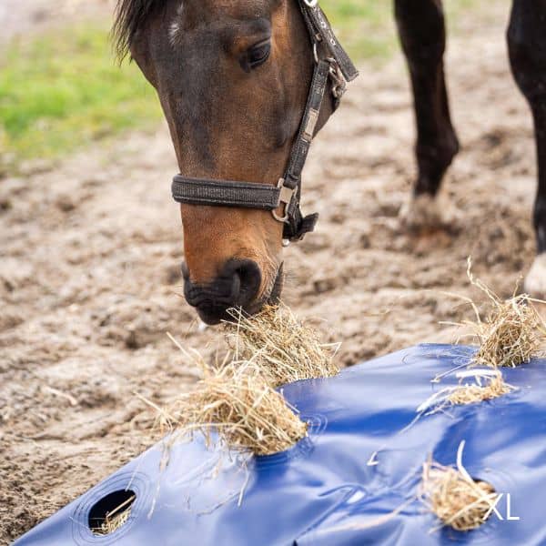 HayPlay Bag slowfeeder XL (2) HayPlay Bag slowfeeder