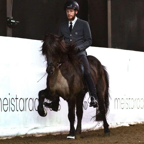 Hrimnir softshell wedstrijdjas Kraftur Hrimnir softshell wedstrijdjas Kraftur