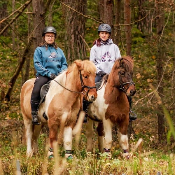 Isknapar Silfur (6) Isknapar Silfur hoodie