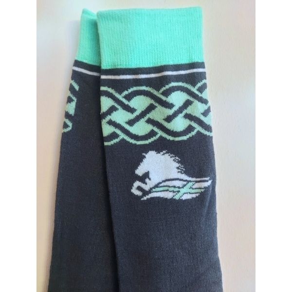 Isknapar groen logo Isknapar groen logo