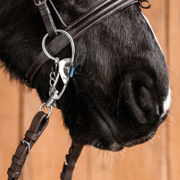 Fager Sabina titanium IJslands stang bit Fager Sabina titanium IJslands stang bit