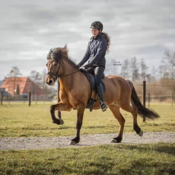 Vega frá Glæsibæ Vega frá Glæsibæ