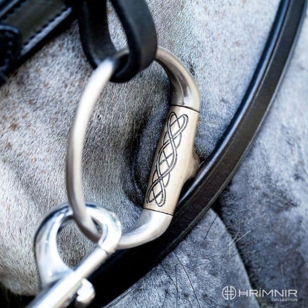 Een passend bit voor je paard Een passend bit voor je paard