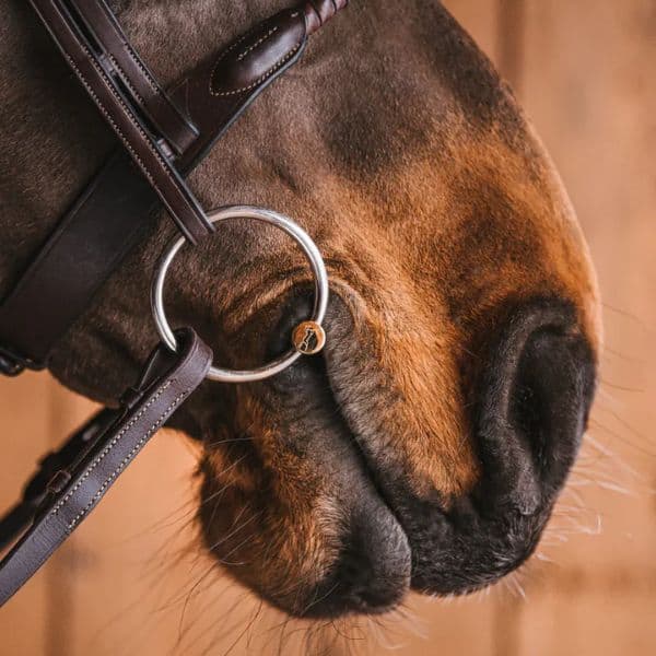 FAGER TESTBITTEN FAGER TESTBITTEN