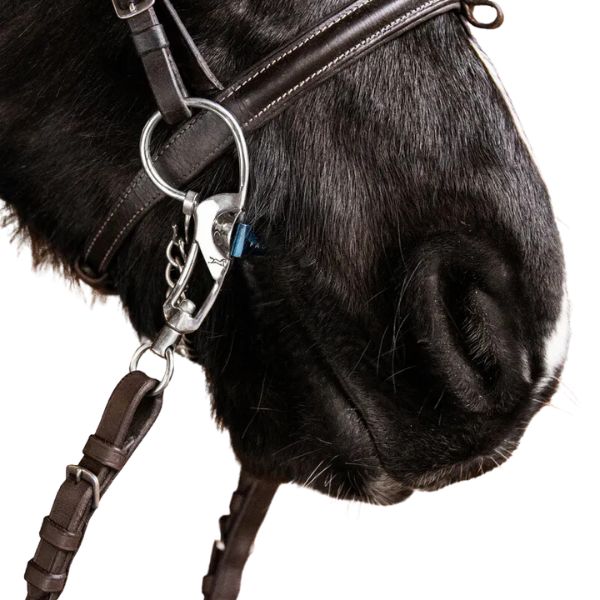 Fager Sabina titanium IJslands bit DG Fager Sabina titanium IJslands bit DG