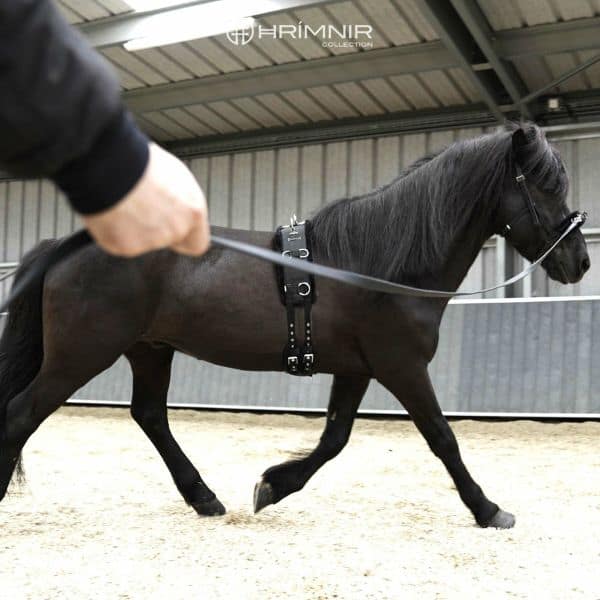 Hrimnir dubbele longeerlijn Hrimnir dubbele longeerlijn