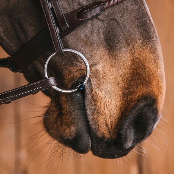 Fager Carl titanium watertrens Fager Carl titanium watertrens