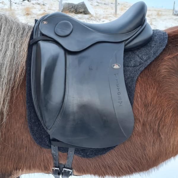 Zadelpasservice voor paarden met korte ruggen Zadelpasservice voor paarden met korte ruggen