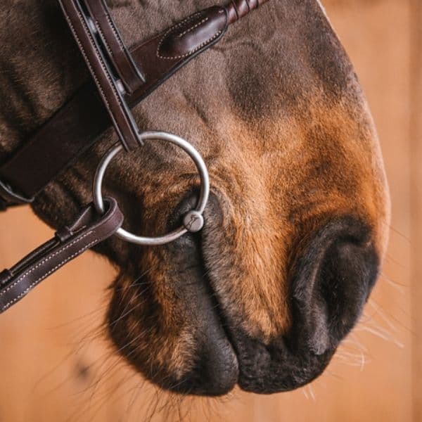 Fager Maria Titanium watertrens Fager Maria Titanium watertrens