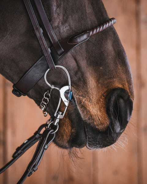 Fager Sabina titanium IJslands bit enkel gebroken Fager Sabina titanium IJslands bit enkel gebroken