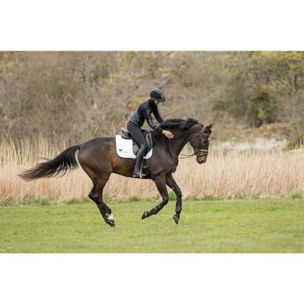 Stierna Axis windjacket Stierna Axis windjack