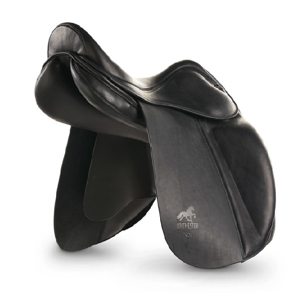 Tölthester Nói Tölthester Nói