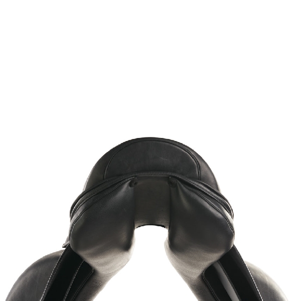 Tölthester Nói Tölthester Nói