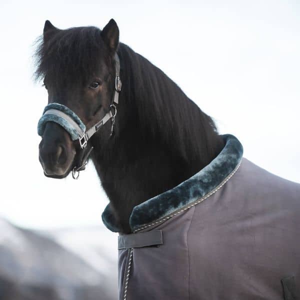 Topreiter Fleecedeken Soft-Line (8) Topreiter Fleecedeken Soft Line