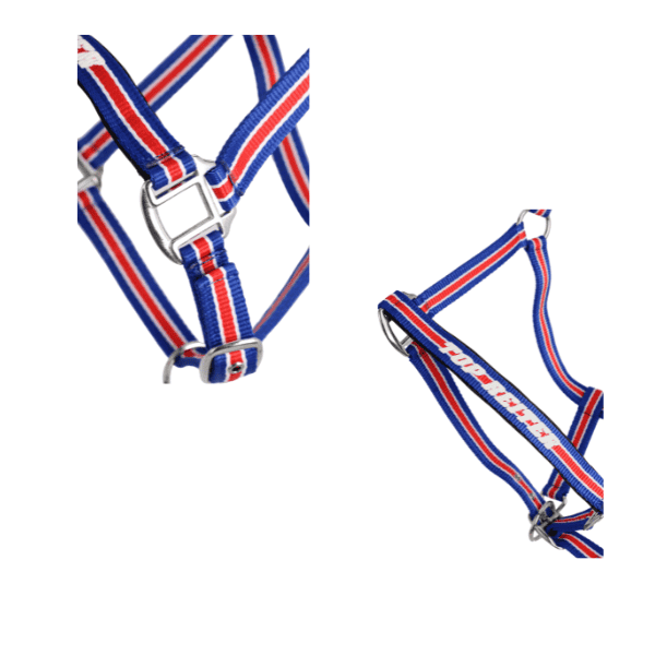 Topreiter Halster IJsland TRII detail