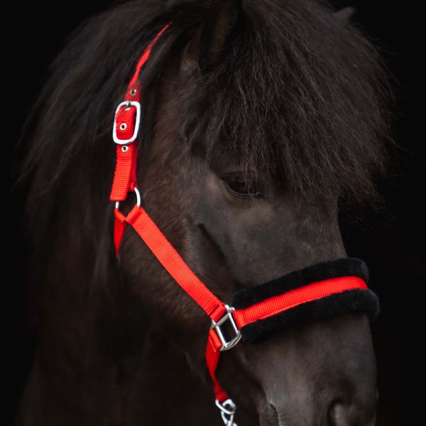 Topreiter Halsterset Soft Line (3) Topreiter Halsterset Soft Line