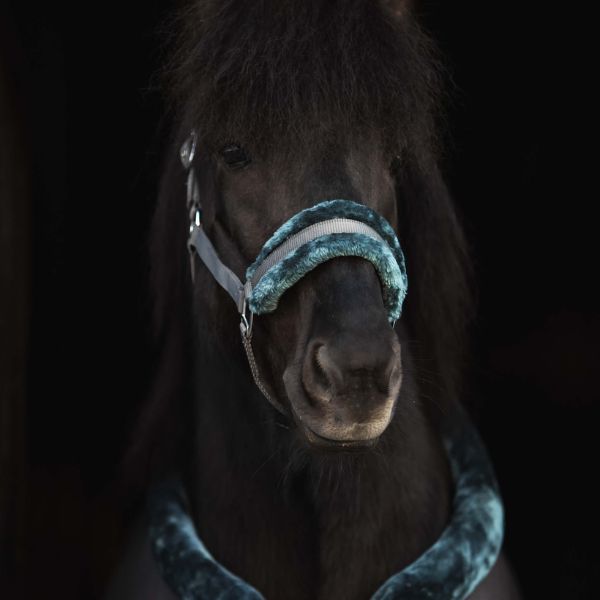 Topreiter Halsterset Soft Line (8) Topreiter Halsterset Soft Line