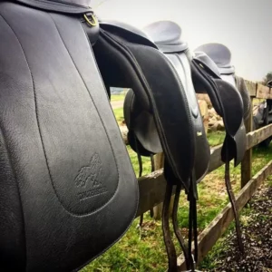 IJslandse zadels op de rug van een PRE, Arabier of Tinker