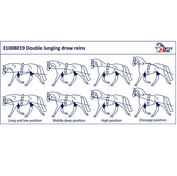 dubbele longeerlijn dubbele longeerlijn