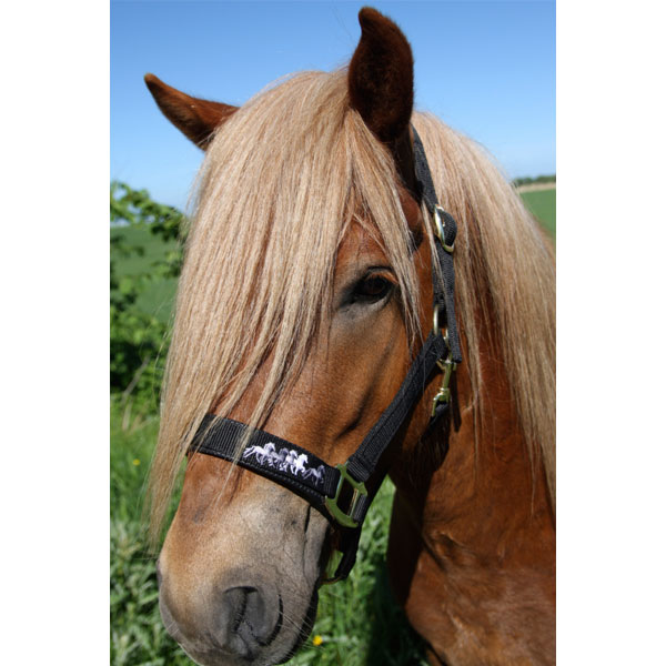 Karlslund nylon halster Karlslund nylon halster