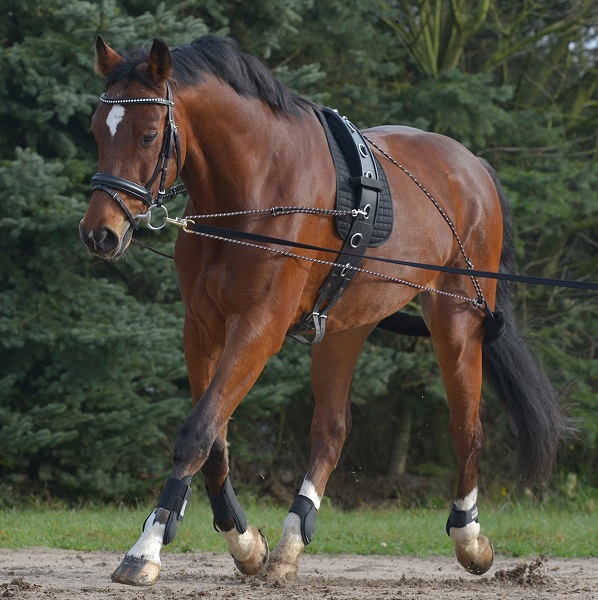 longeersysteem Longeersysteem