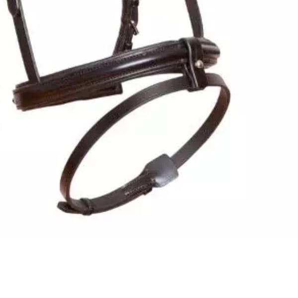 Equitec Comfort Lux Algeir Equitec Comfort Lux Algeir