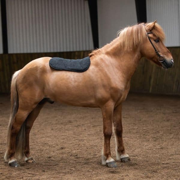 Kidka zadeldek (2) Kidka zadeldek