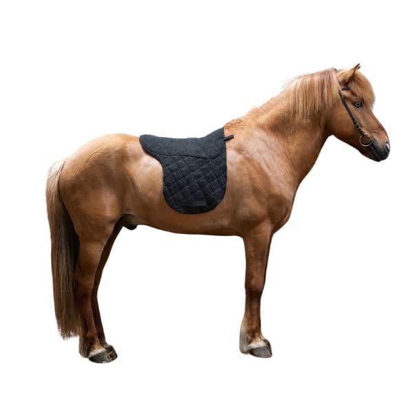 Kidka zadeldek Deluxe (2) Kidka zadeldek Deluxe