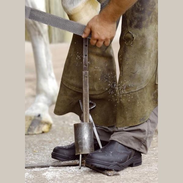 Mountain Horse protective jodphurs (4) Mountain Horse protective jodphurs