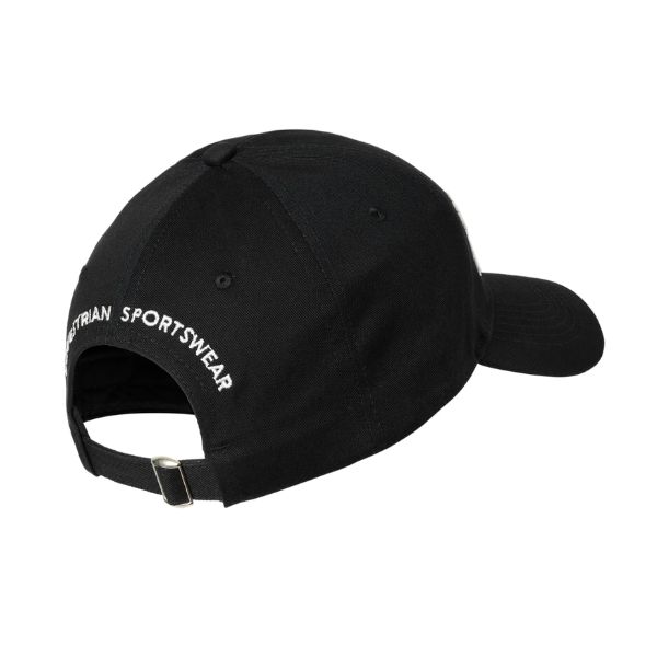 Stierna cap (2) Stierna cap