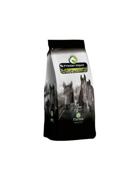 Florian Friesian Impact Oerbrok (3) Florian Friesian Impact Oerbrok