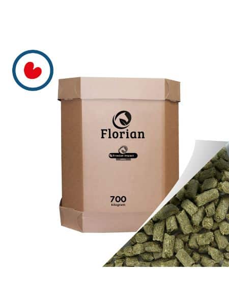 Florian Friesian Impact Oerbrok (4) Florian Friesian Impact Oerbrok