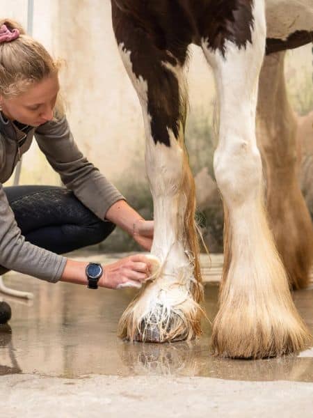 Doderm Alpaca Shampoo Bar Horse (2) Doderm Alpaca Shampoo Bar Horse