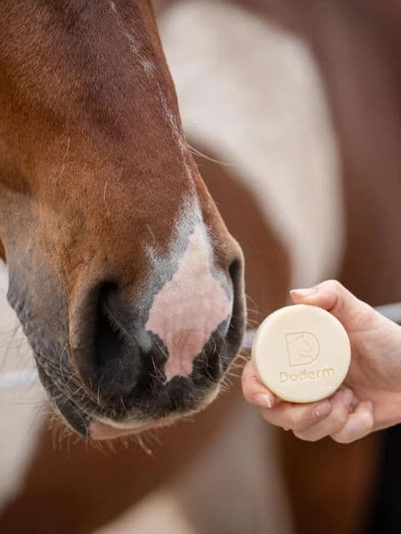 Doderm Alpaca Shampoo Bar Horse Doderm Alpaca Shampoo Bar Horse