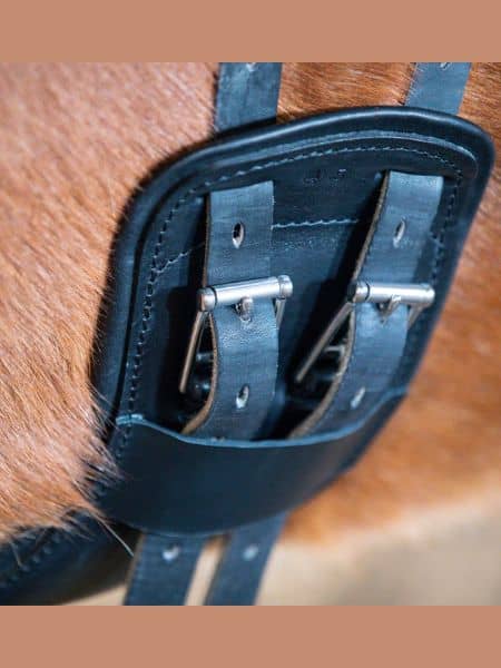 Eques Flex Balance singel (2) Eques Flex Balance singel