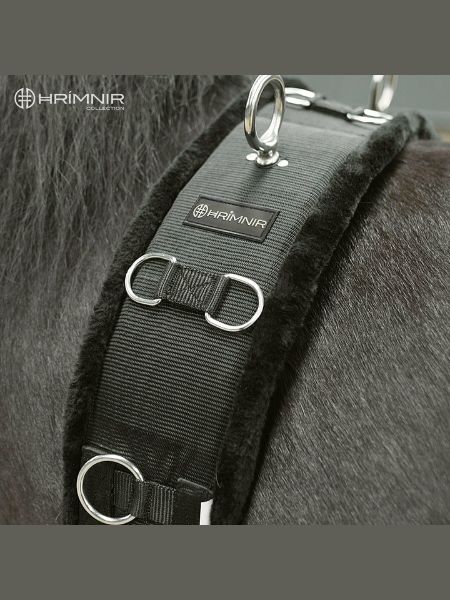 Hrimnir Longeersingel (2) Hrimnir Longeersingel