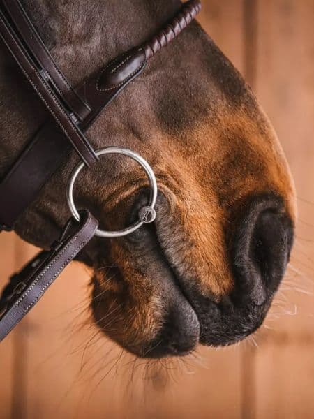 Fager Dylan Sweet Iron DG bit (2) Fager Dylan Sweet Iron DG bit